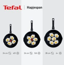 Tefal Black Stone Hapjespan - Ø 24 Cm -Thuiskeuken 1192x1200 13