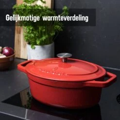 Daumonet Bocuse Rouge Gietijzeren Braadpan - Sudderpan Kersen Rood - Ovaal - Ø 29 Cm - 3 Liter - PFAS & PFOA Vrij - Emaille - Geschikt Voor Alle Warmtebronnen - Elektrisch - Gas - Halogeen - Inductie - Keramisch - Vaatwasserbestendig -Thuiskeuken 1200x1200 1508