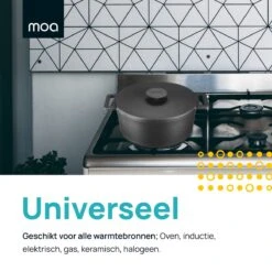 MOA Gietijzeren Braadpan - Inhoud 4,75 Liter - 26CM - Rond - Alle Warmtebronnen - Ook Voor Inductie - Gewicht 5,8 Kg - Zwart - MOAMC26B -Thuiskeuken 1200x1200 1564