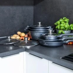 Herenthal Pannenset Inductie - Luxe 10-Delige Pannenset - Kookpotten Voor Alle Warmtebronnen - Kookpan - Pan Inductie Met Glazen Deksels En Koudgrepen - Grijs -Thuiskeuken 1200x1200 159
