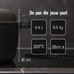Daumonet Ducasse Gietijzeren Double Use Braadpan - Combi Sudderpan Zwart - 2-in-1 Bak- En Braadpan - PFAS & PFOA Vrij - Rond - Ø 26 Cm - 4,4 Liter - Emaille - Alle Warmtebronnen - Elektrisch - Gas - Halogeen - Inductie - Keramisch -Thuiskeuken 1200x1200 1613