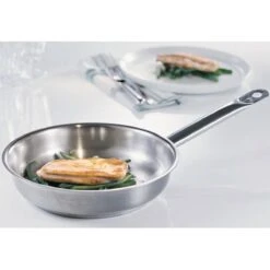 Fissler Catania Koekenpan - Ø 24 Cm -Thuiskeuken 1200x1200 369