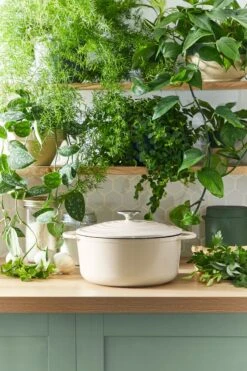 Tefal LOV Braadpan - 5L - Ø25 Cm - Beige -Thuiskeuken 800x1200 33